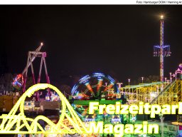 Fotos des Hamburger Winterdoms 2024