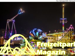 Fotos des Hamburger Winterdoms 2024