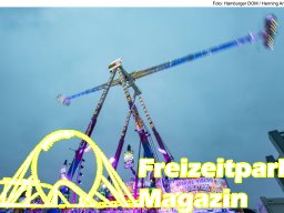 Fotos des Hamburger Winterdoms 2024