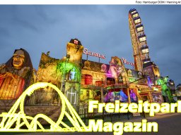 Fotos des Hamburger Winterdoms 2024