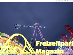 Fotos des Hamburger Winterdoms 2024