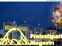 Fotos des Hamburger Winterdoms 2024