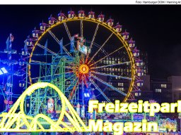 Fotos des Hamburger Winterdoms 2024