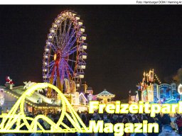 Fotos des Hamburger Winterdoms 2024