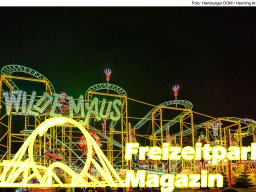 Fotos des Hamburger Winterdoms 2024