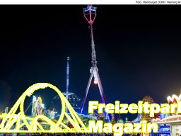 Fotos des Hamburger Winterdoms 2024