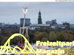 Fotos des Hamburger Winterdoms 2024