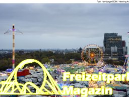 Fotos des Hamburger Winterdoms 2024