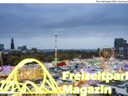 Fotos des Hamburger Winterdoms 2024