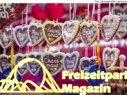 Fotos des Hamburger Winterdoms 2024