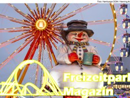 Fotos des Hamburger Winterdoms 2024