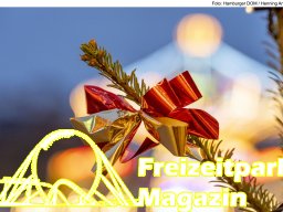 Fotos des Hamburger Winterdoms 2024