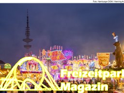 Fotos des Hamburger Winterdoms 2024