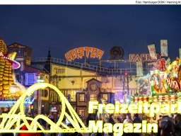 Fotos des Hamburger Winterdoms 2024