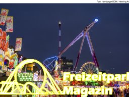 Fotos des Hamburger Winterdoms 2024