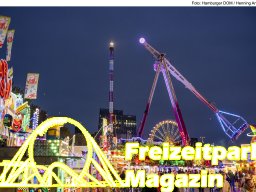 Fotos des Hamburger Winterdoms 2024