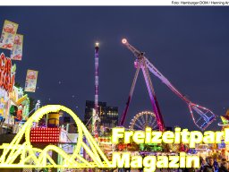 Fotos des Hamburger Winterdoms 2024