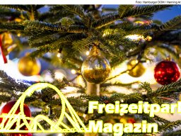 Fotos des Hamburger Winterdoms 2024