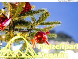 Fotos des Hamburger Winterdoms 2024