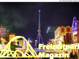 Fotos des Hamburger Winterdoms 2024