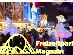 Fotos des Hamburger Winterdoms 2024 (Teil 2)