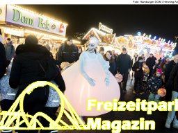 Fotos des Hamburger Winterdoms 2024 (Teil 2)