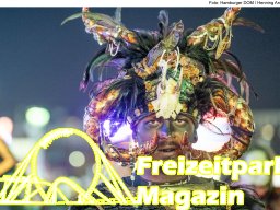 Fotos des Hamburger Winterdoms 2024 (Teil 2)