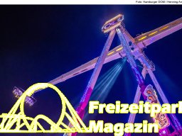 Fotos des Hamburger Winterdoms 2024 (Teil 2)