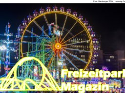 Fotos des Hamburger Winterdoms 2024 (Teil 2)