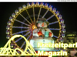 Fotos des Hamburger Winterdoms 2024 (Teil 2)