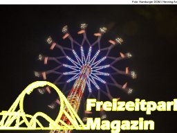 Fotos des Hamburger Winterdoms 2024 (Teil 2)