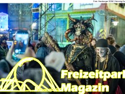 Fotos des Hamburger Winterdoms 2024 (Teil 2)