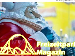 Fotos des Hamburger Winterdoms 2024 (Teil 2)