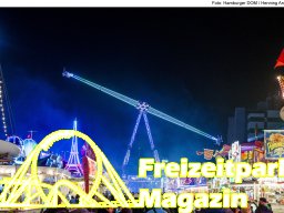 Fotos des Hamburger Winterdoms 2024 (Teil 2)