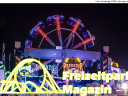 Fotos des Hamburger Winterdoms 2024 (Teil 2)