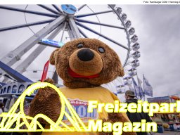 Fotos vom Hamburger Sommerdom 2025